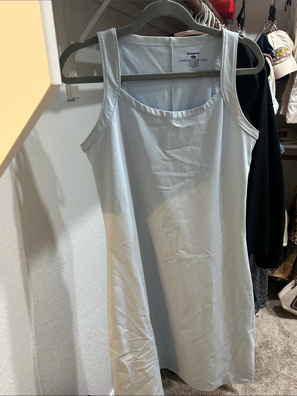 Patagonia Organic Cotton Blue Strap Dress